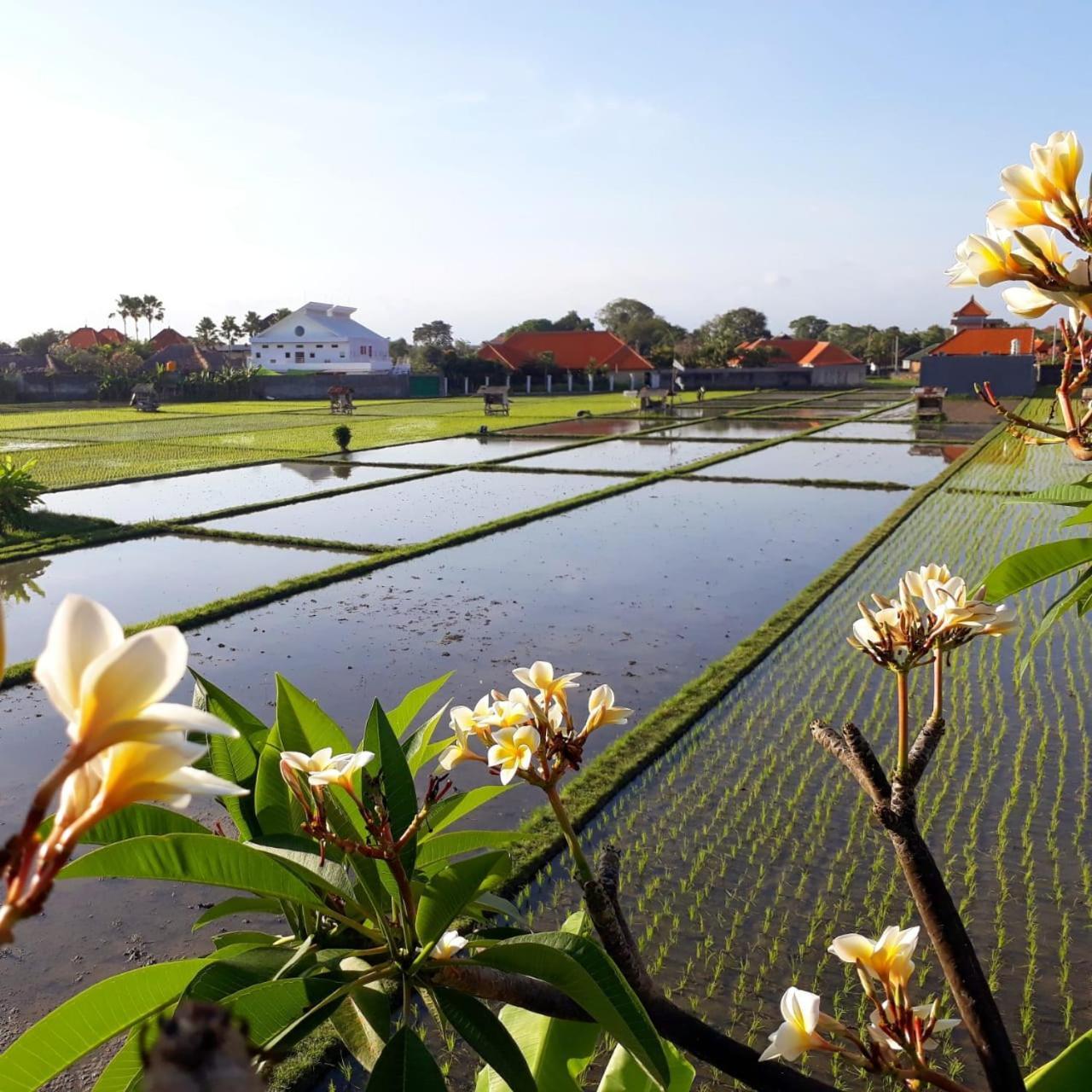 The Avani Villas กูตา ภายนอก รูปภาพ